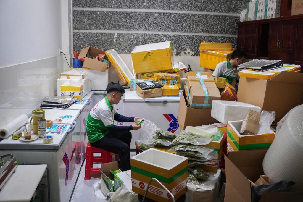 Đóng gói thực phẩm gửi đi Châu Âu từ Nghệ An